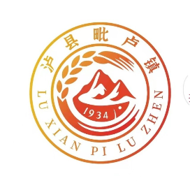 泸县毗卢镇人民政府