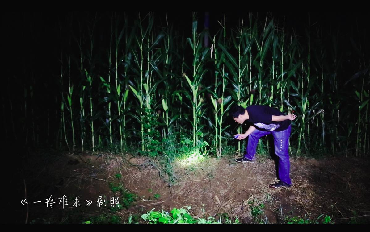 一妃难求_一将难求蛐蛐纪录片_冒险岛纪录游戏纪录