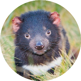 TourismTasmania