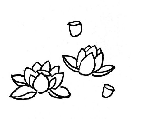 笔画画画|荷花简教程小学步骤绘画,夏天来了,教你画美丽的荷花临海沿江镇花卉图片