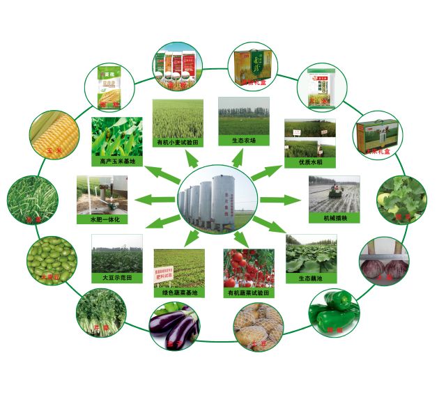 菱花集团江保安：“73岁了，我走在第三次创业的路上”(图4)
