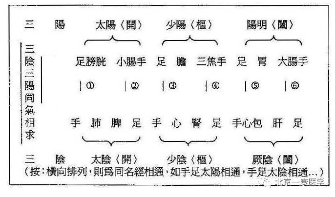 中医脏腑别通理论不能不懂