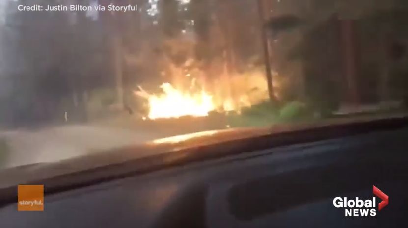 死里逃生！父子露营被山火包围！玩命开车 惊险上演