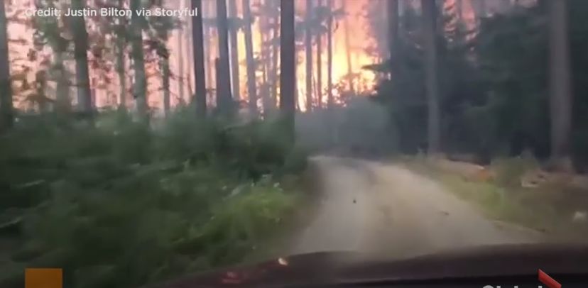 死里逃生！父子露营被山火包围！玩命开车 惊险上演