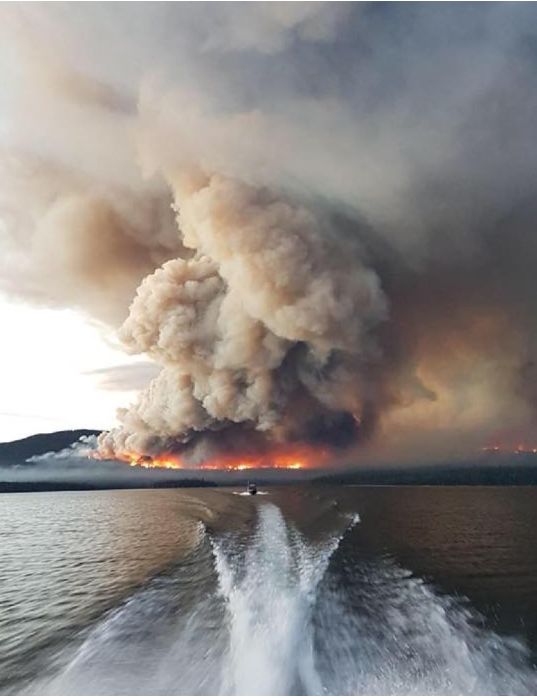 大温告急！空气中有害颗粒飙升 更多海滩病菌爆发 环境部的这句警告太吓人！