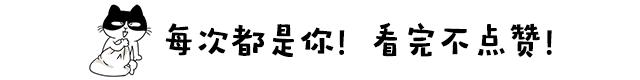 怀孕母猫如何照顾?怀孕期间及生产后的注意事项?