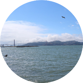 东北亚丝绸之路研究