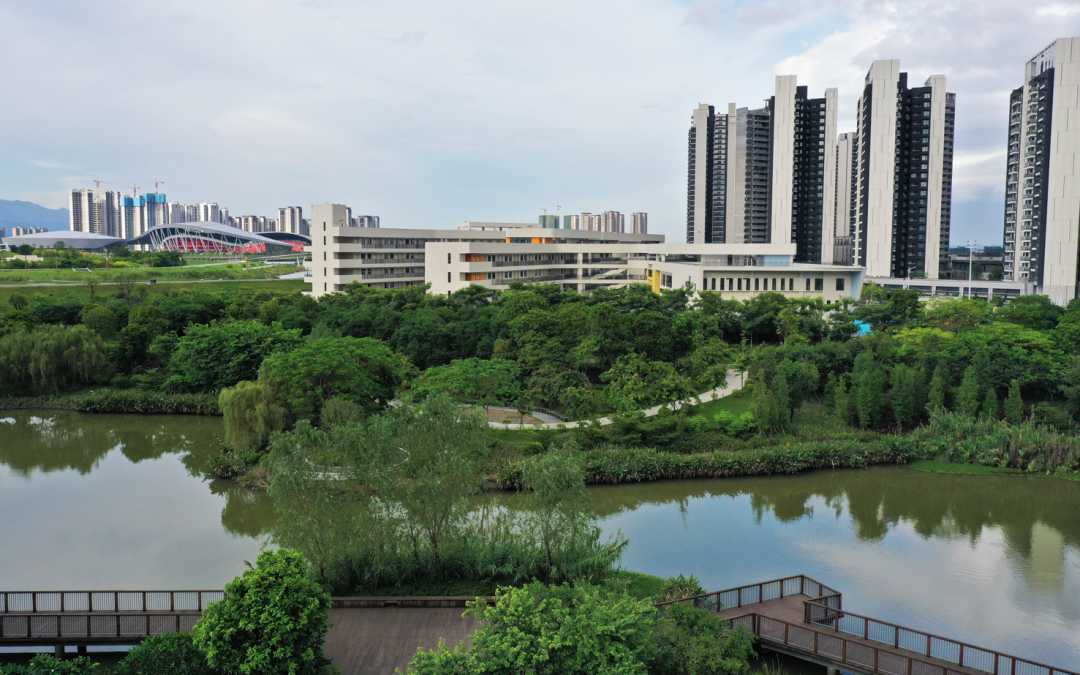 是肇庆新区的优质公立小学,肇庆华侨城纯水岸小学新的校园环境是怎样