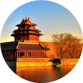 奇文洞见