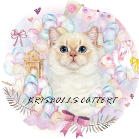 嗷嗷家的英短英长猫舍