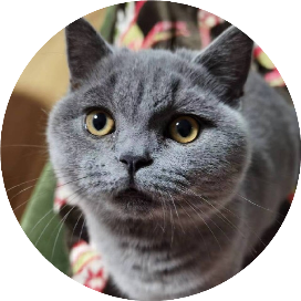 阿木犀的小宇宙