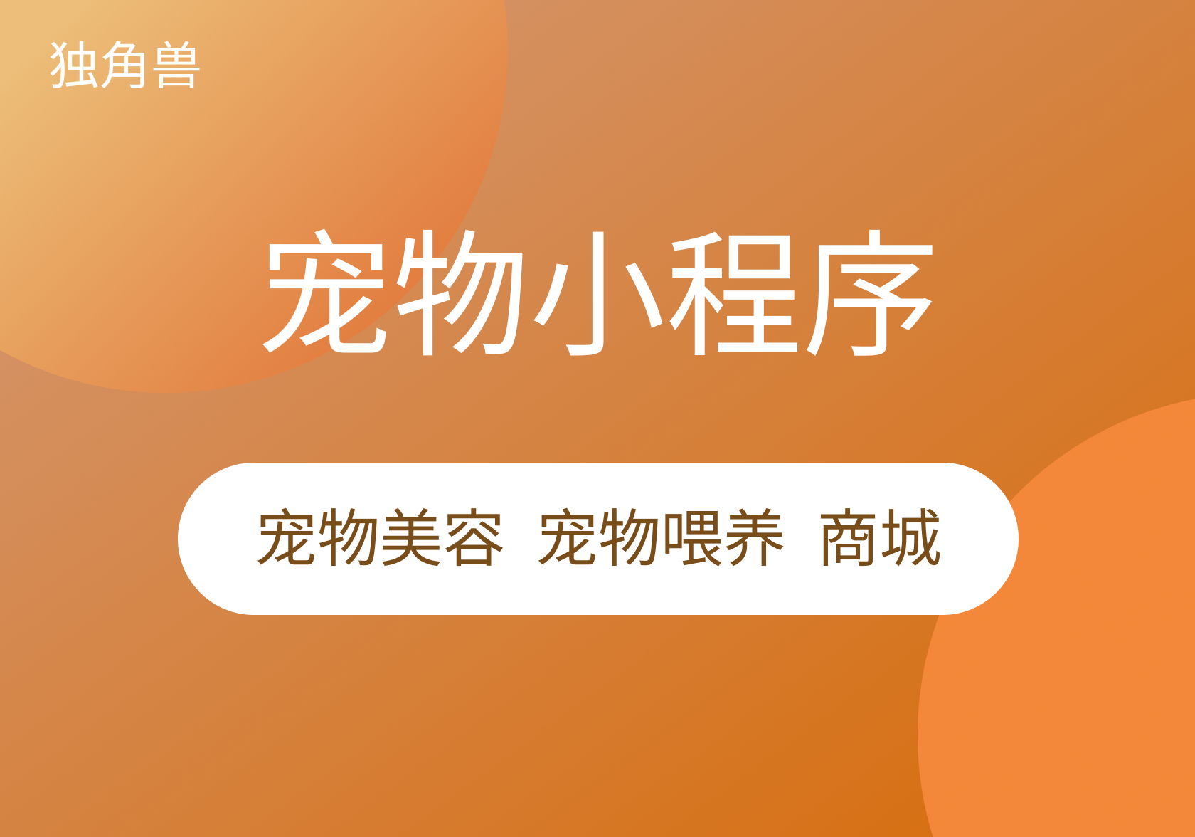 宠物美容-上门喂食小程序