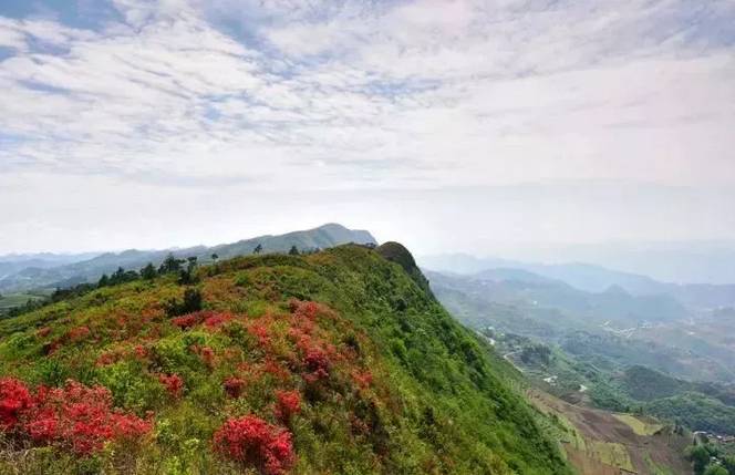 从贵阳龙洞堡机场搭乘飞机前往铜仁凤凰机场后,转车至梵净山 白龙山