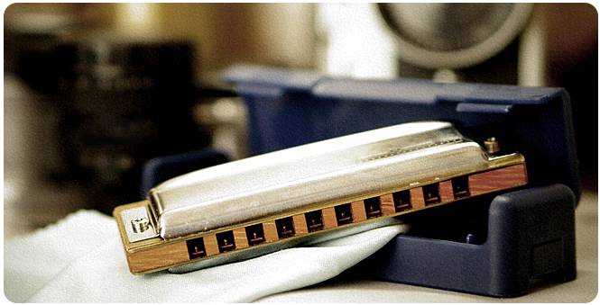 口琴军乐《老朋友进行曲》,耳朵要怀孕了!!-怀孕期