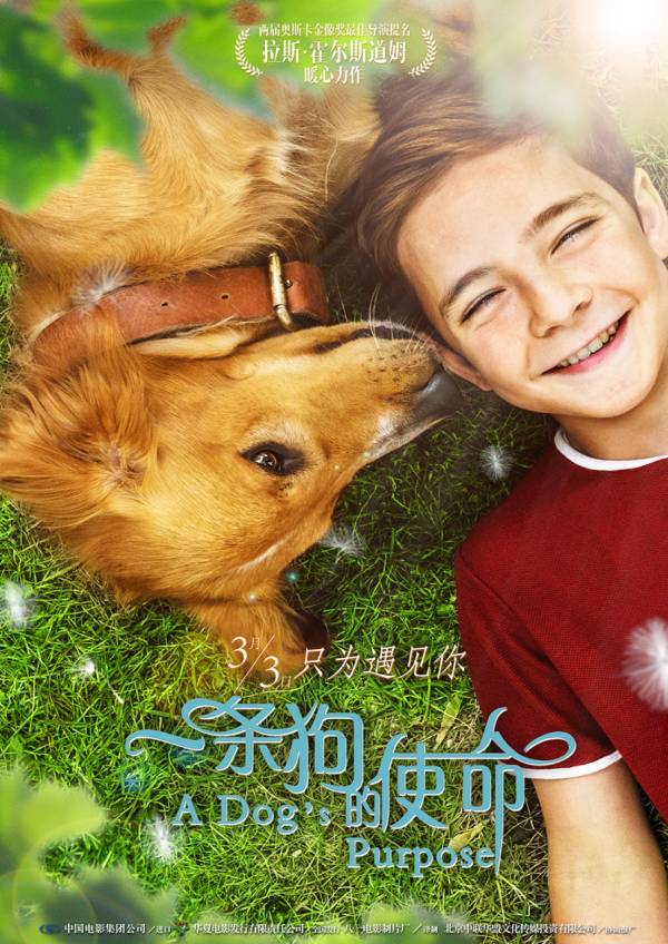 《一条狗的使命》上映首日不辱使命 力战狼叔以萌克刚