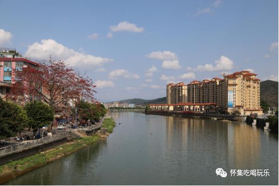 (怀集县城绥江河木棉花开美景(怀集县文昌广场前木棉花开美景(怀集