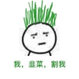 小荷韭菜成长日记