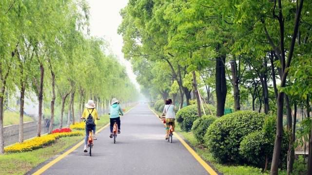 ΪʲôһҪڳɶ򷿣3ĳɶ𰸣