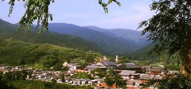 忻州市忻府区奇村镇