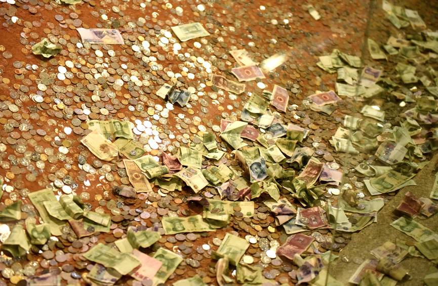 烈士公園海龜誤吞硬幣死亡 或因游客撒幣祈福