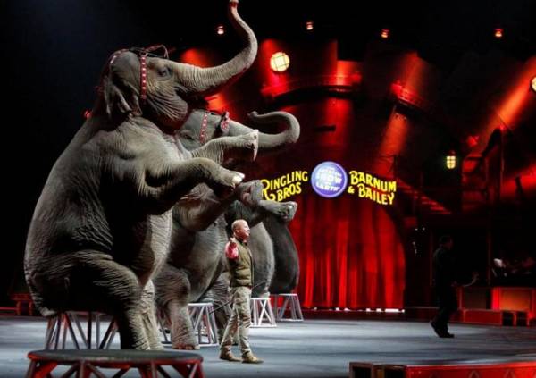 早啊！新闻来了〔2017.01.19〕