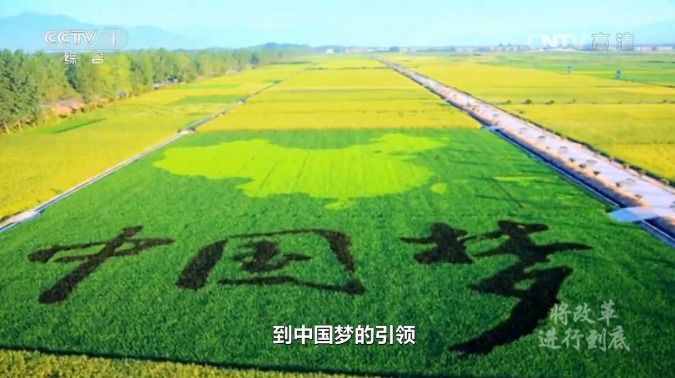 从"两个一百年"奋斗目标的提出到中国梦的引领,从"五位一体"总体布局