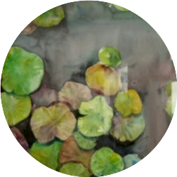 我不是浮萍的个人号