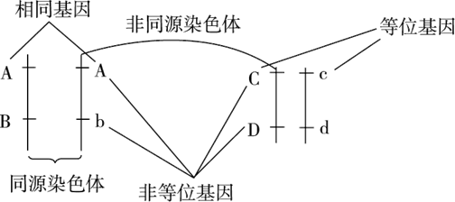 高中生物必修2第一章考点
