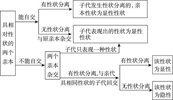 高中生物必修2第一章考点