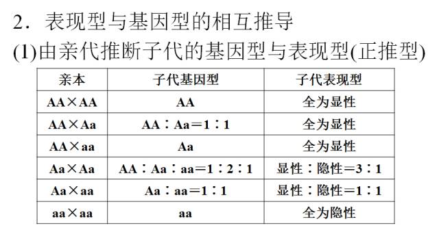高中生物必修2第一章考点