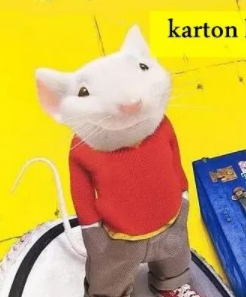 زېرەك چاشقان 