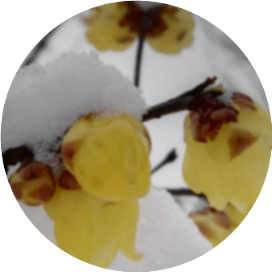 梦非梦的漫时光