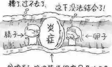 妇科炎症会传染,对怀孕也有影响?