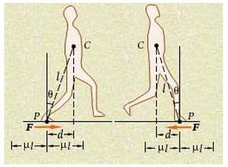 下载.webp (18).jpg
