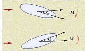 下载.webp (8).jpg