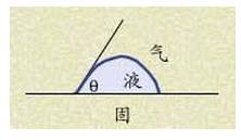下载.webp (16).jpg