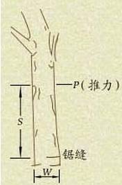 下载.webp (5).jpg