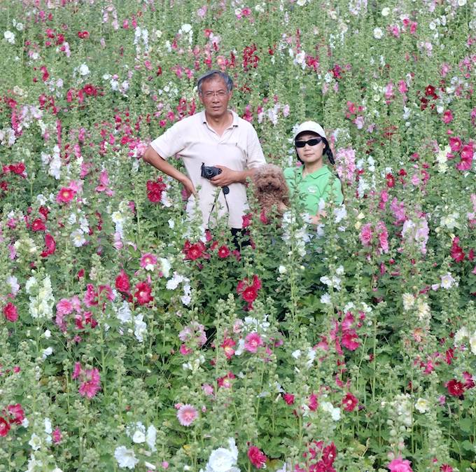 周小林和殷洁在鲜花山谷