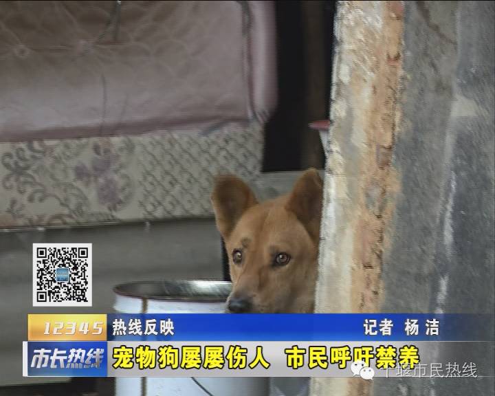 狗伤人屡屡发生物业小区禁养烈性犬大型犬你怎么看