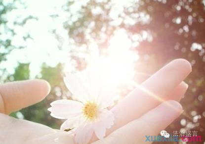 Ҷʢٺͷѧڻ಻ԷƷ_Ҷʢ