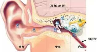 面瘫耳膜穿孔脑膜炎竟都会因它而起如何远离听专家告诉您