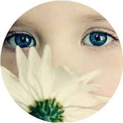 疏影横斜的小屋