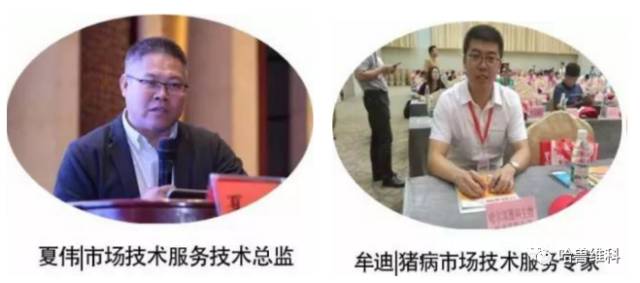 数据丨2018年1-4月份7种常见猪传染病实验室监测数据分析与防控建议