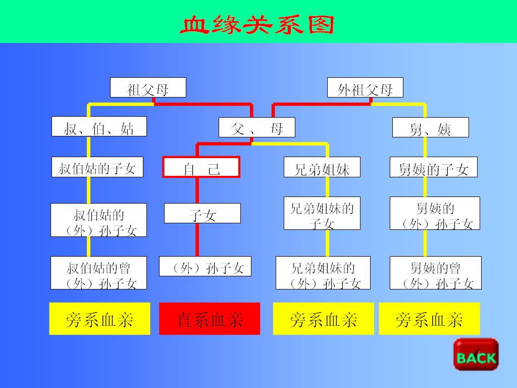 血亲主要指出于同一祖先,有血缘关系的亲属,即自然血亲; 也包括法律