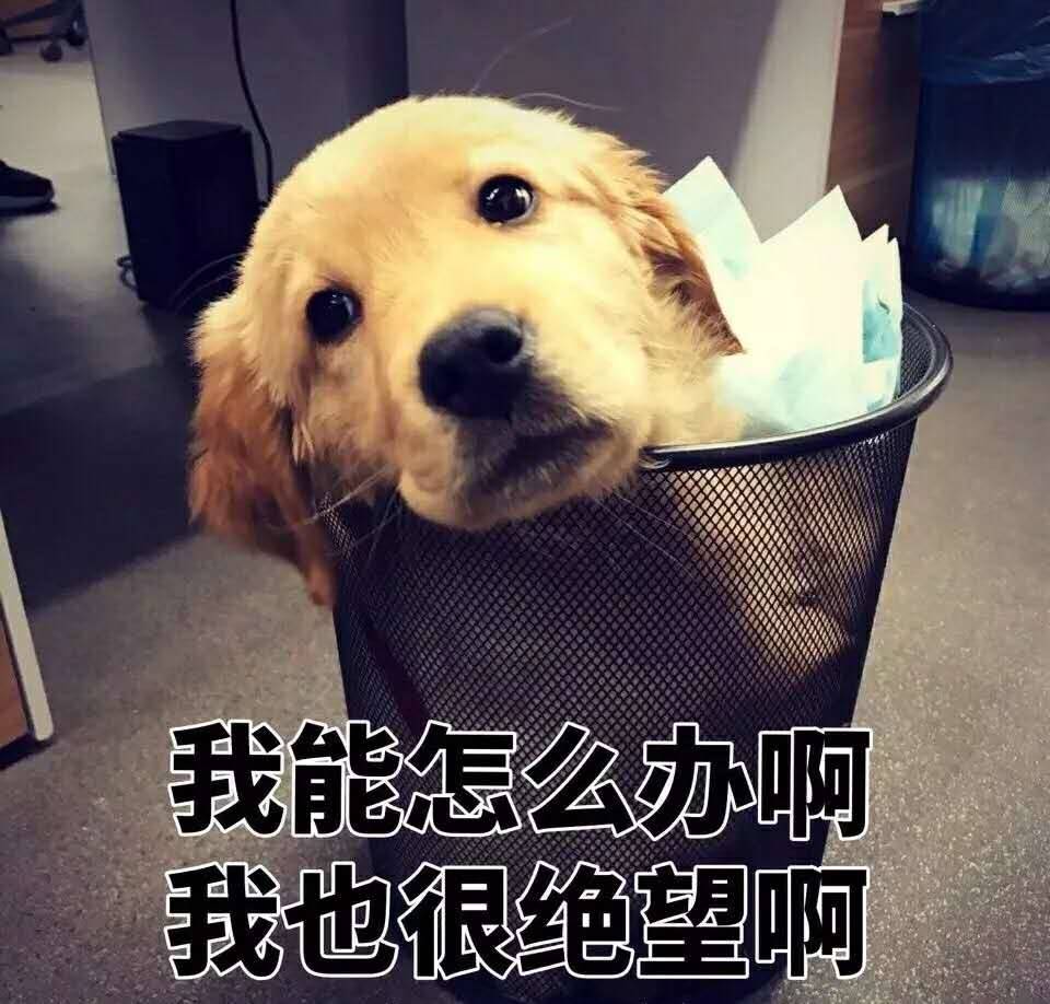 我能怎么办,我也很绝望啊?