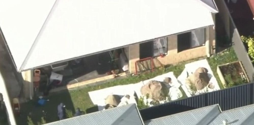 迷恋漂亮小姨子 精英移民将妻子活埋 自家独立屋后院挖坑 当着孩子面拖走妈妈