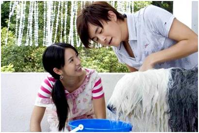 这样的表白，就是一场灾难