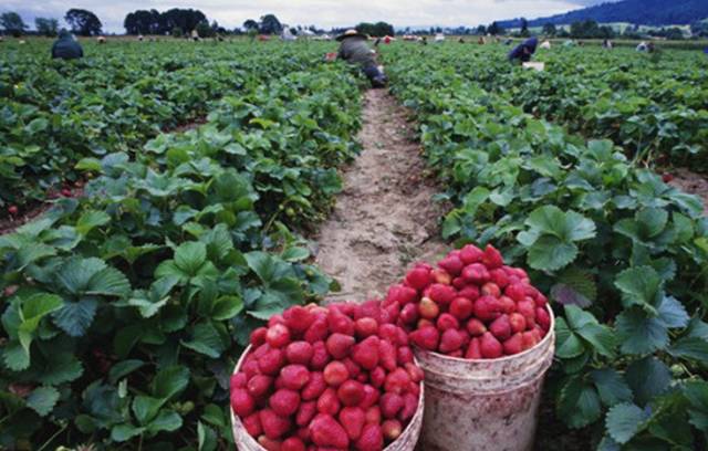 南京几个区_南京有几个区_南京玄式区世纪缘湖滨花园酒店