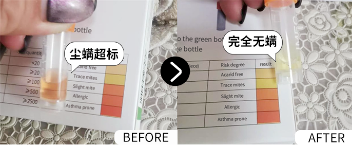 屋里有它，全家一虫不染~告别螨、蚊、蟑