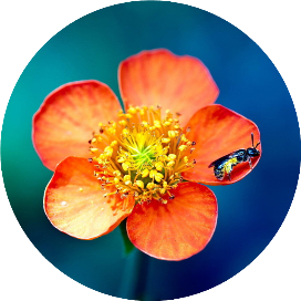 带娃碎碎念手记